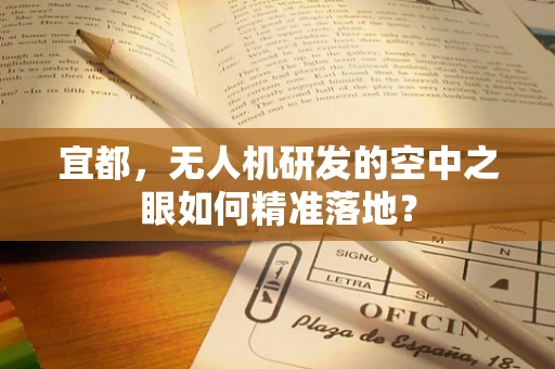 宜都，无人机研发的空中之眼如何精准落地？