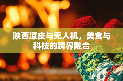 陕西凉皮与无人机，美食与科技的跨界融合