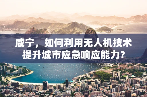 咸宁，如何利用无人机技术提升城市应急响应能力？