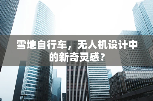 雪地自行车，无人机设计中的新奇灵感？