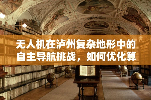 无人机在泸州复杂地形中的自主导航挑战，如何优化算法以应对酒城的独特地貌？