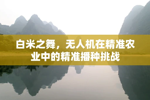 白米之舞，无人机在精准农业中的精准播种挑战