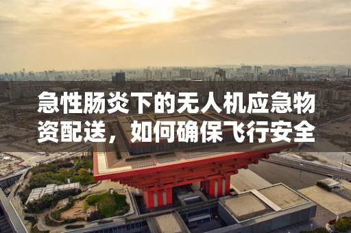 急性肠炎下的无人机应急物资配送，如何确保飞行安全与效率？