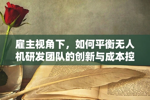 雇主视角下，如何平衡无人机研发团队的创新与成本控制？