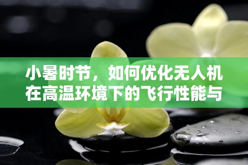 小暑时节，如何优化无人机在高温环境下的飞行性能与电池续航？