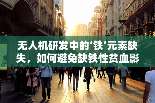 无人机研发中的‘铁’元素缺失，如何避免缺铁性贫血影响飞行性能？