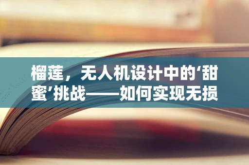 榴莲，无人机设计中的‘甜蜜’挑战——如何实现无损运输？