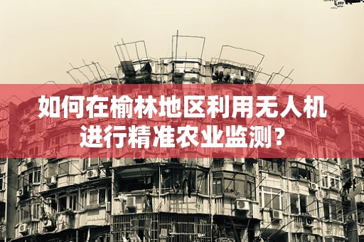 如何在榆林地区利用无人机进行精准农业监测？