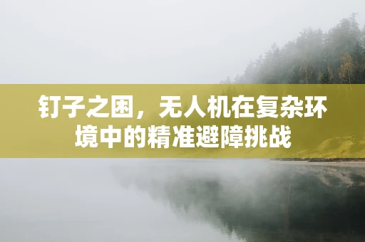 钉子之困，无人机在复杂环境中的精准避障挑战
