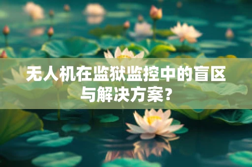 无人机在监狱监控中的盲区与解决方案？
