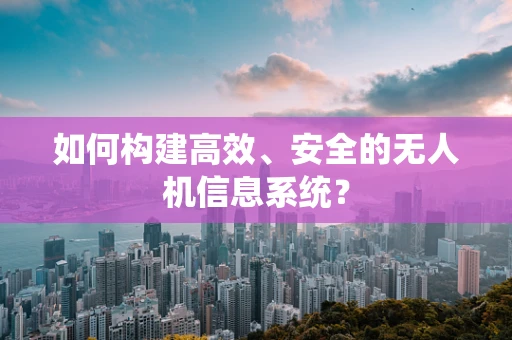 如何构建高效、安全的无人机信息系统？