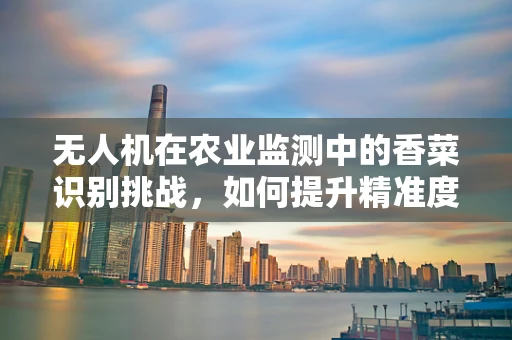 无人机在农业监测中的香菜识别挑战，如何提升精准度？