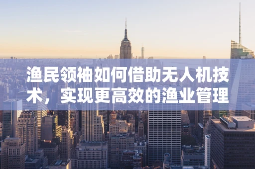 渔民领袖如何借助无人机技术，实现更高效的渔业管理？