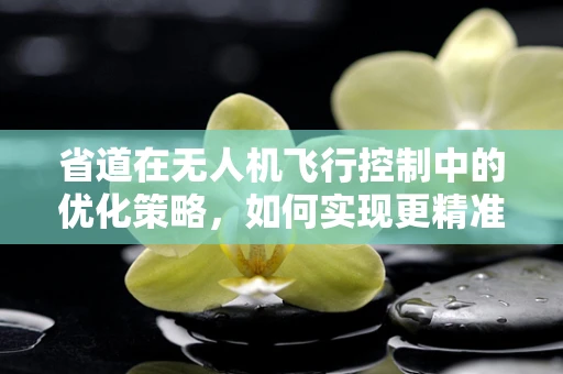省道在无人机飞行控制中的优化策略，如何实现更精准的路径规划？