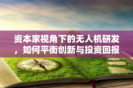 资本家视角下的无人机研发，如何平衡创新与投资回报？