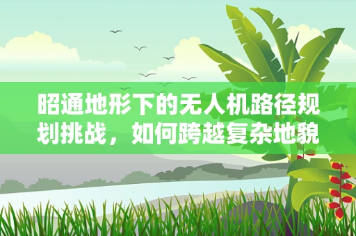 昭通地形下的无人机路径规划挑战，如何跨越复杂地貌的精准飞行？