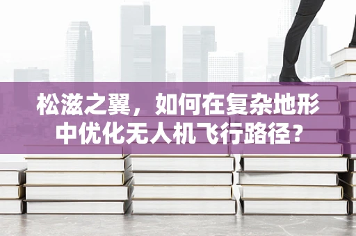 松滋之翼，如何在复杂地形中优化无人机飞行路径？