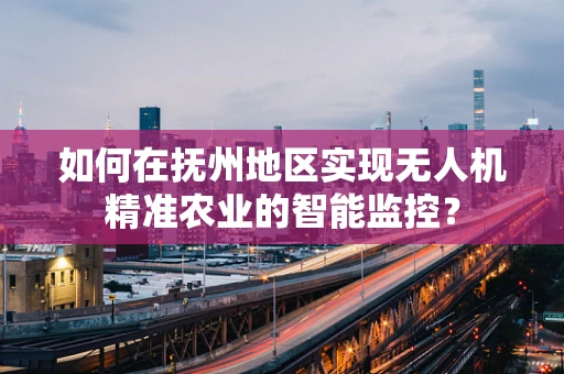 如何在抚州地区实现无人机精准农业的智能监控？
