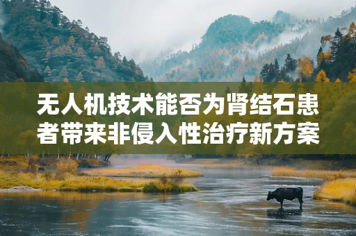 无人机技术能否为肾结石患者带来非侵入性治疗新方案？