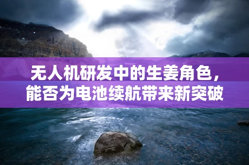 无人机研发中的生姜角色，能否为电池续航带来新突破？