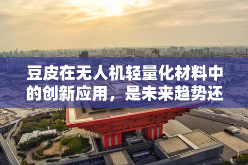 豆皮在无人机轻量化材料中的创新应用，是未来趋势还是噱头？