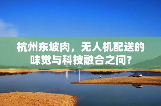 杭州东坡肉，无人机配送的味觉与科技融合之问？