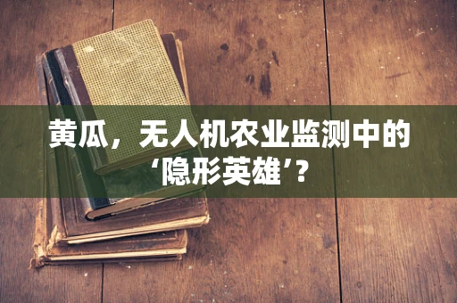 黄瓜，无人机农业监测中的‘隐形英雄’？