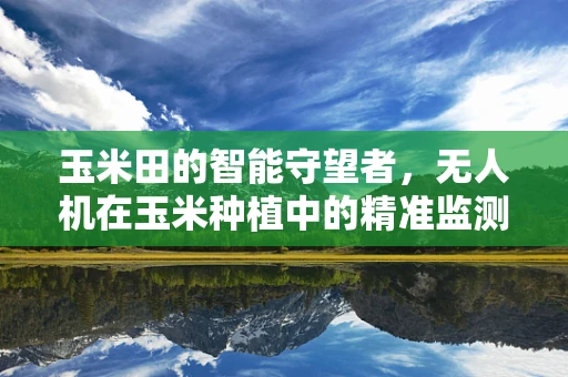 玉米田的智能守望者，无人机在玉米种植中的精准监测挑战