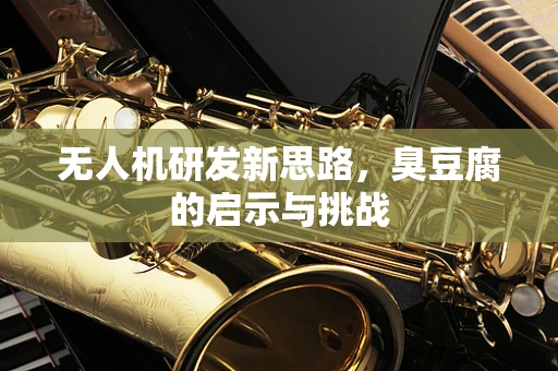无人机研发新思路，臭豆腐的启示与挑战