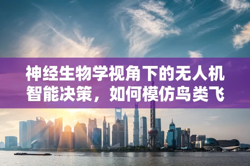 神经生物学视角下的无人机智能决策，如何模仿鸟类飞行智慧？