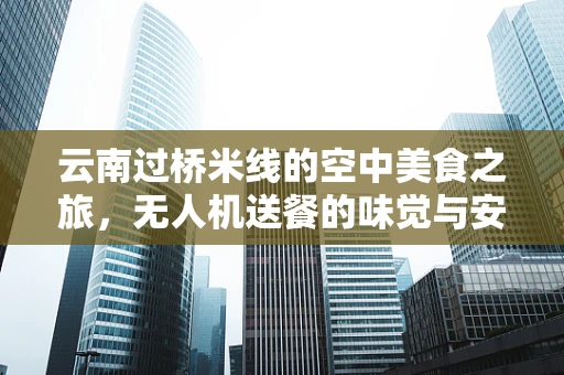 云南过桥米线的空中美食之旅，无人机送餐的味觉与安全挑战