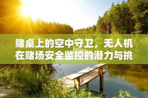赌桌上的空中守卫，无人机在赌场安全监控的潜力与挑战