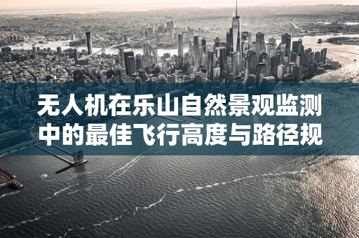 无人机在乐山自然景观监测中的最佳飞行高度与路径规划