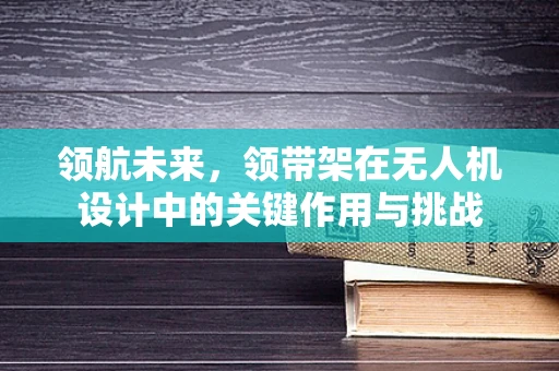 领航未来，领带架在无人机设计中的关键作用与挑战