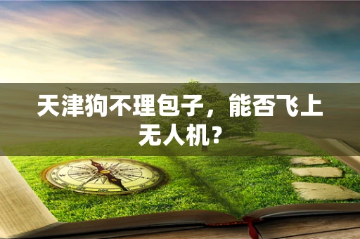 天津狗不理包子，能否飞上无人机？