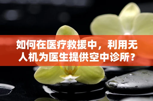 如何在医疗救援中，利用无人机为医生提供空中诊所？