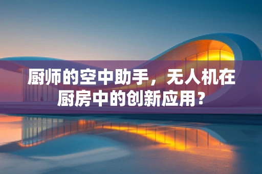 厨师的空中助手，无人机在厨房中的创新应用？