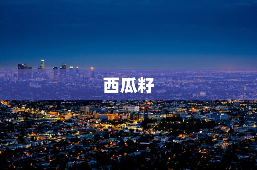 西瓜籽