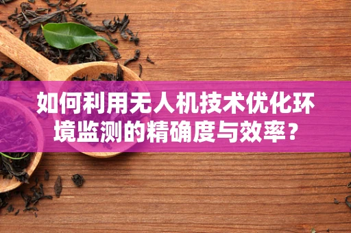 如何利用无人机技术优化环境监测的精确度与效率？