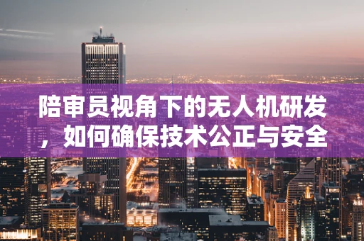 陪审员视角下的无人机研发，如何确保技术公正与安全？