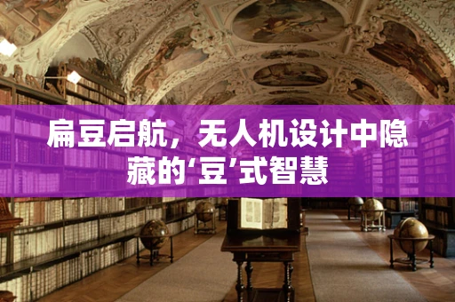 扁豆启航，无人机设计中隐藏的‘豆’式智慧