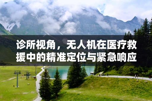 诊所视角，无人机在医疗救援中的精准定位与紧急响应挑战