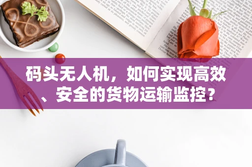 码头无人机，如何实现高效、安全的货物运输监控？