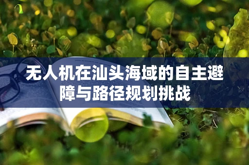 无人机在汕头海域的自主避障与路径规划挑战