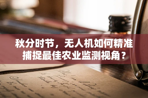 秋分时节，无人机如何精准捕捉最佳农业监测视角？