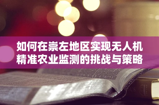 如何在崇左地区实现无人机精准农业监测的挑战与策略？