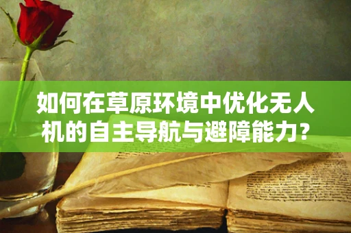 如何在草原环境中优化无人机的自主导航与避障能力？