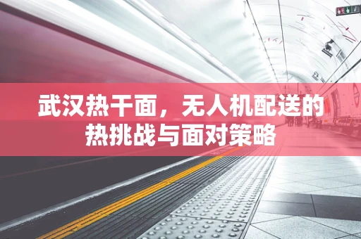 武汉热干面，无人机配送的热挑战与面对策略