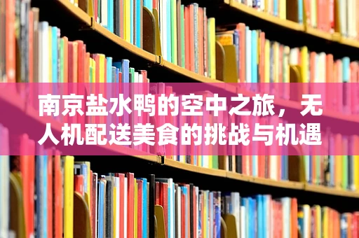 南京盐水鸭的空中之旅，无人机配送美食的挑战与机遇？