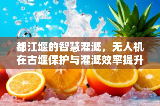都江堰的智慧灌溉，无人机在古堰保护与灌溉效率提升中的角色？